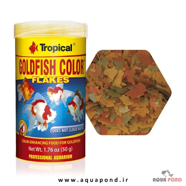 گلدفیش کالر پولکی تروپیکال