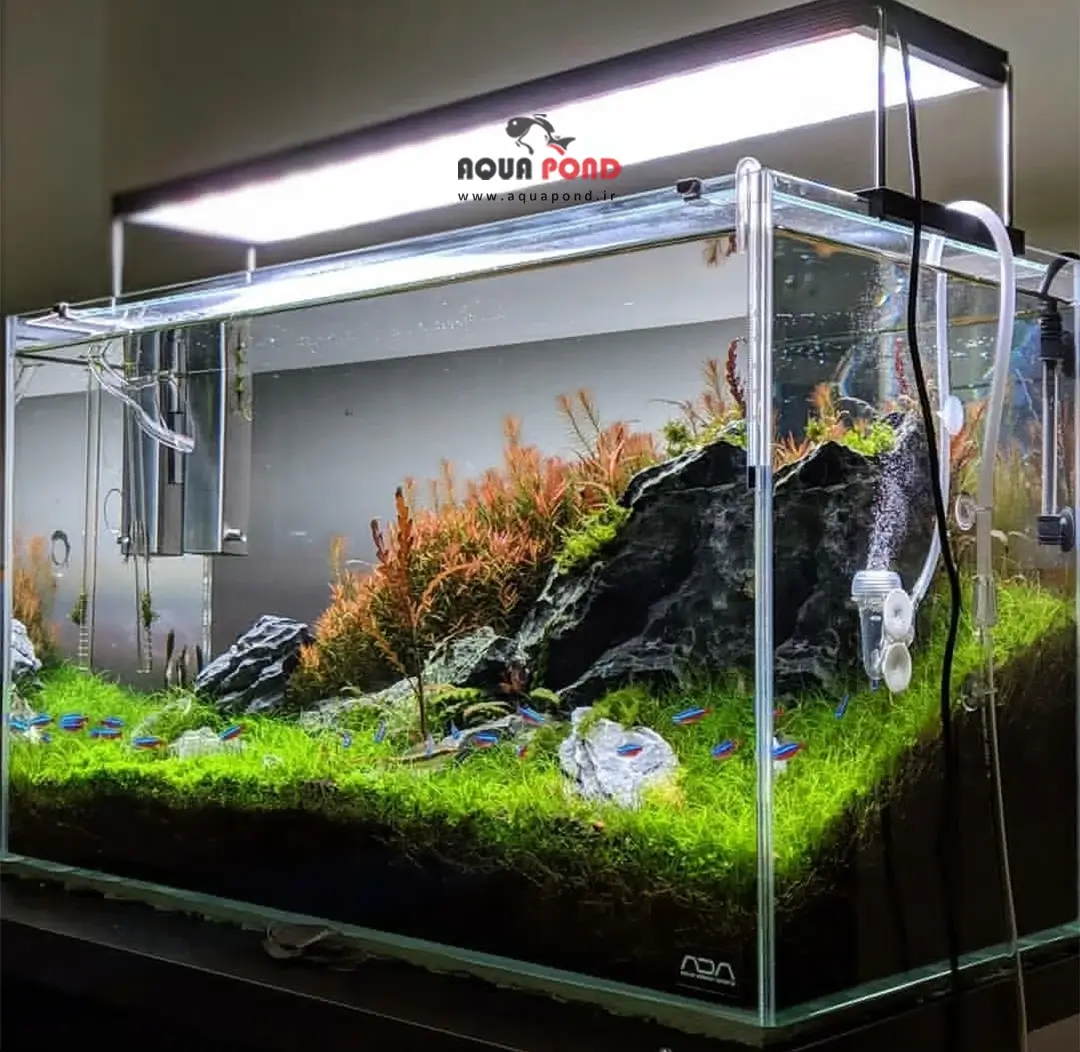 کلاریتی سیچم محلول شفاف کننده آب شور و آب شیرین