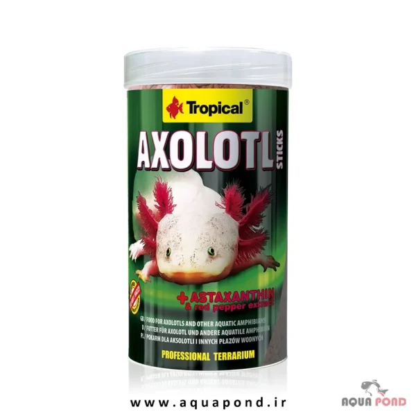 Tropical Axolotl