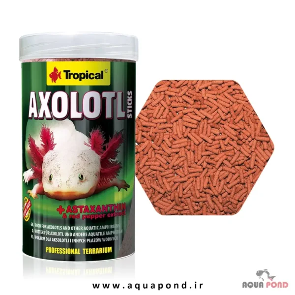 اکسولوتل استیک تروپیکال غذای دوزیستان آبزی