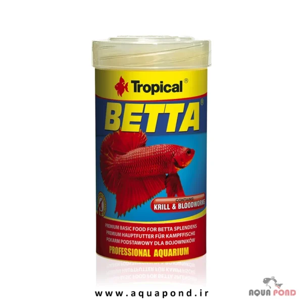 Tropical betta