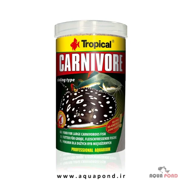 Tropical carnivore