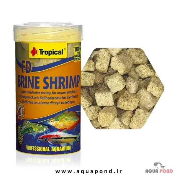 FD براین شریمپ تروپیکال