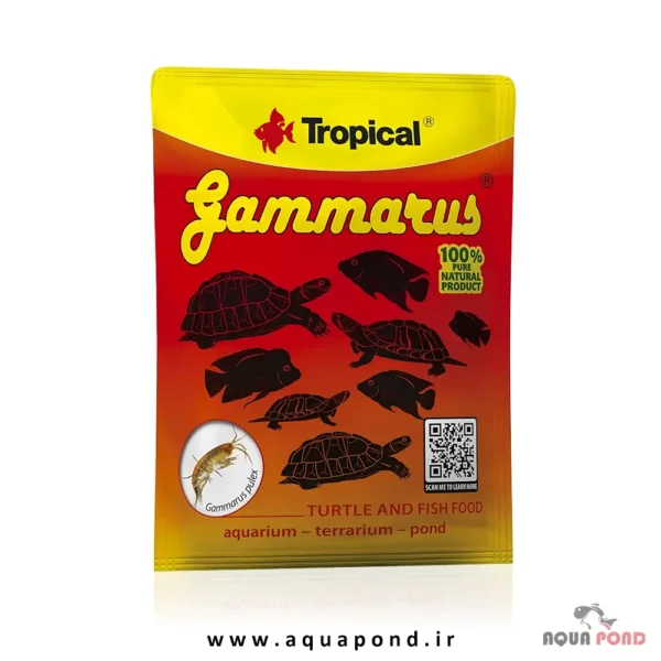 Tropical gammarus 12g