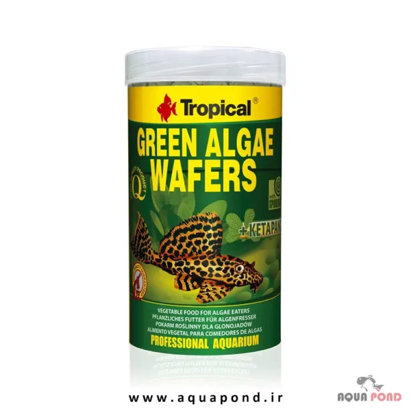 Tropical green algae wafers