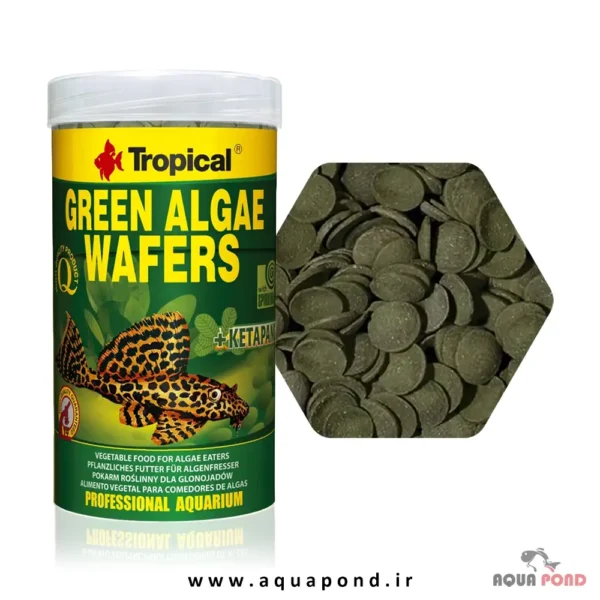 گرین الجی وافرز تروپیکال غذای جلبکی کتفیش ها