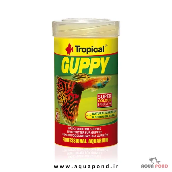 Tropical guppy