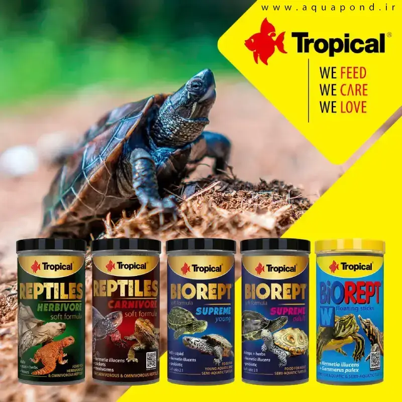 بایورپت w تروپیکال غذای کامل لاک پشت های آبزی و نیمه آبزی