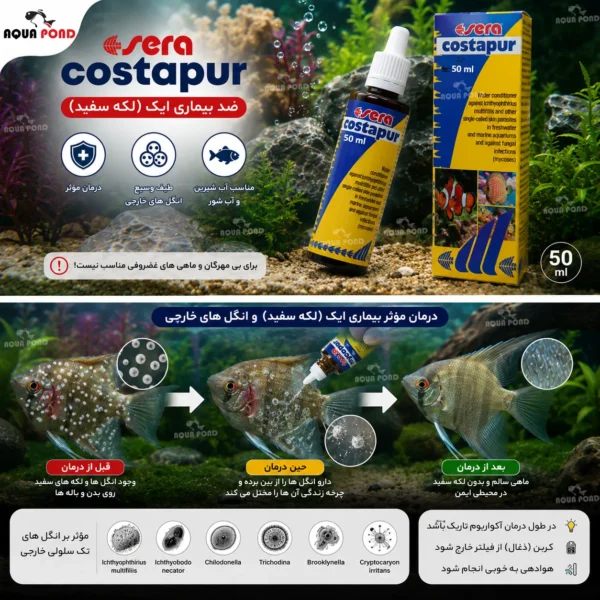 کاستاپور سرا(sera costapur)