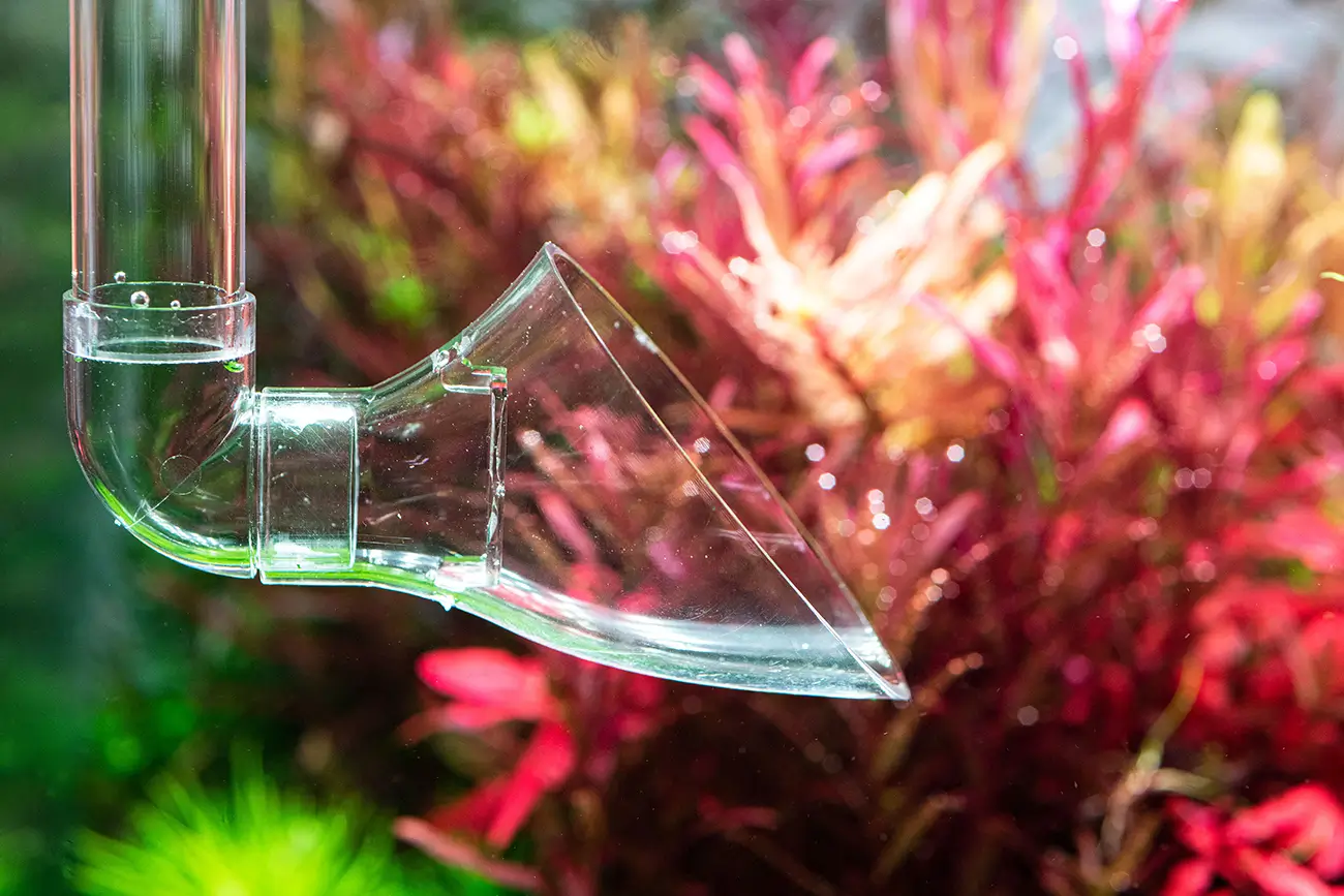 اوتلت نئو شیپوری خروجی آب