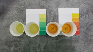 02d-1 NH ۴ / NO ۳ – تست نئو