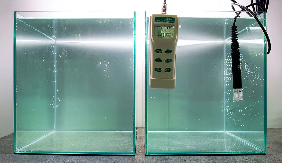 3-1 بوستر تروپیکال نئو محلول باکتری و غذای باکتری