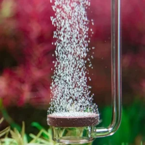 neo diffuser co2 Curved special