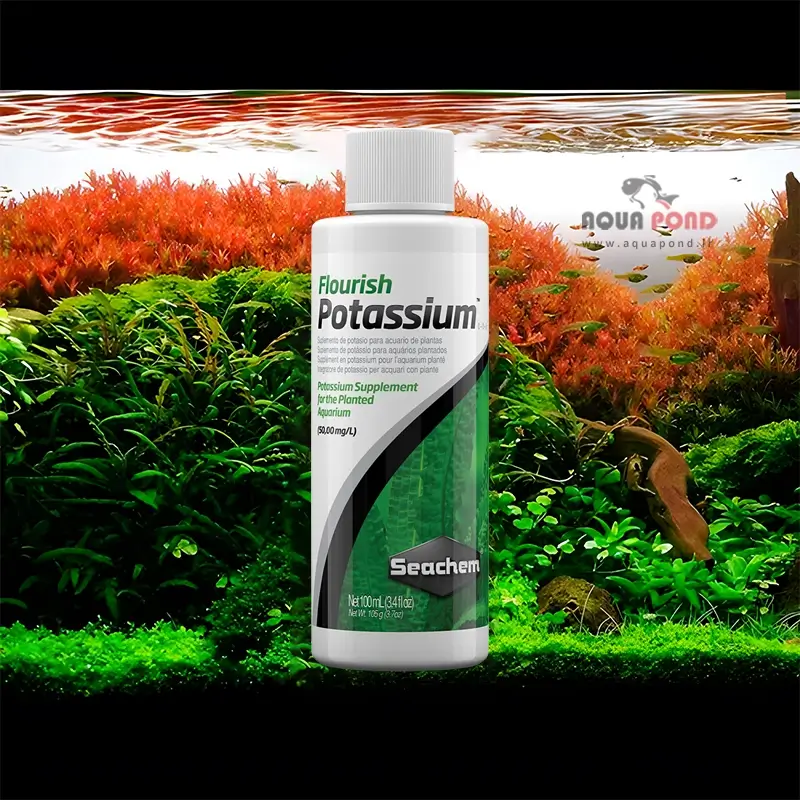 فلوریش پتاسیم سیچم 100 میل