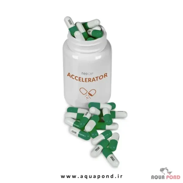 کپسول شتاب دهنده (اکسلریتر) نئو