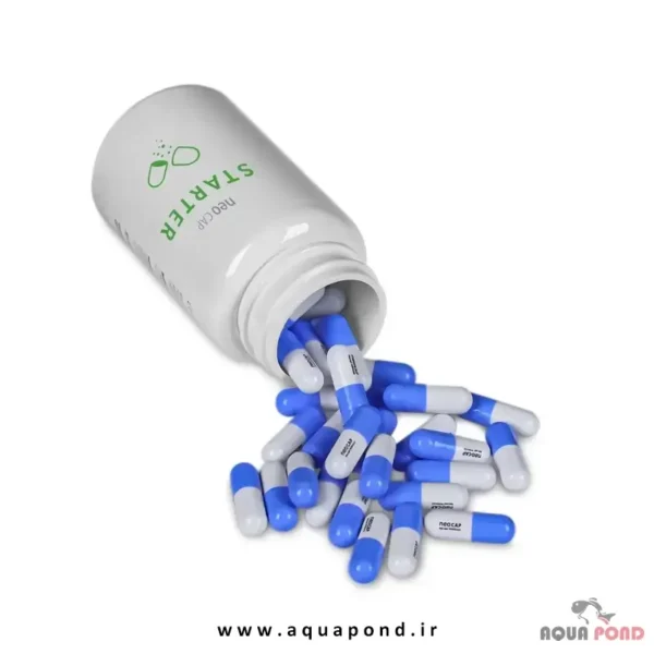 کپسول استارتر نئو