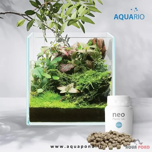 نئو پلنت تب st.long کود زیر بستر کامل