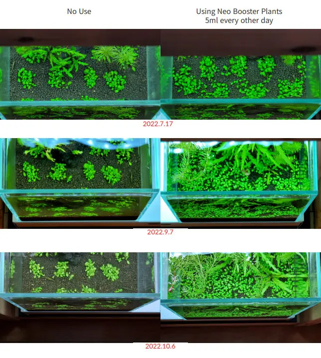 neo booster plants12 بوستر پلنت نئو محلول کربن آلی برای گیاهان آبزی