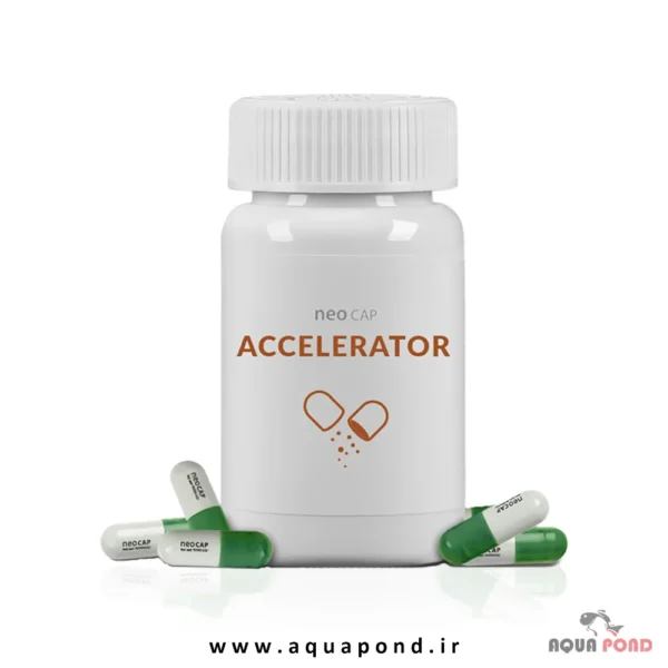 neo cap Accelerator