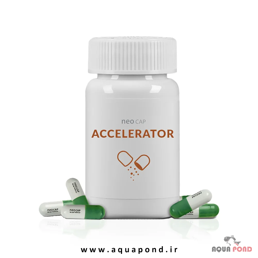 neo cap Accelerator neo cap Accelerator