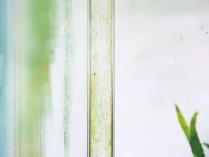 neo guard9 گارد نئو محلول ضد جلبک