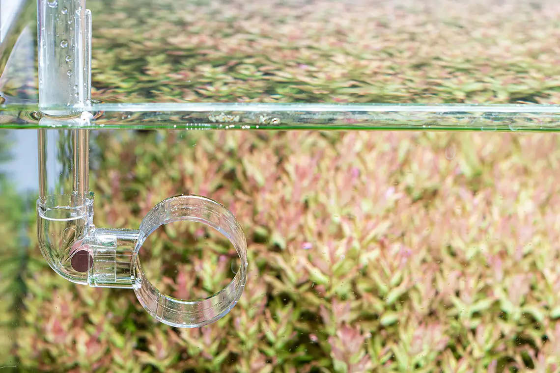 neoMixer1 میکسر نئو در آکواریوم