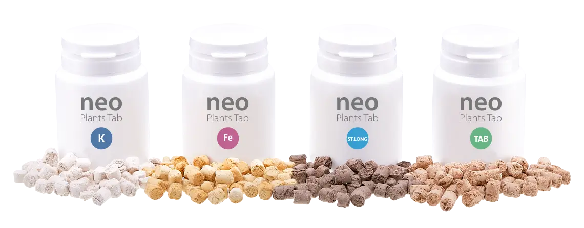 plantsTab-1 پلنت تب های نئو