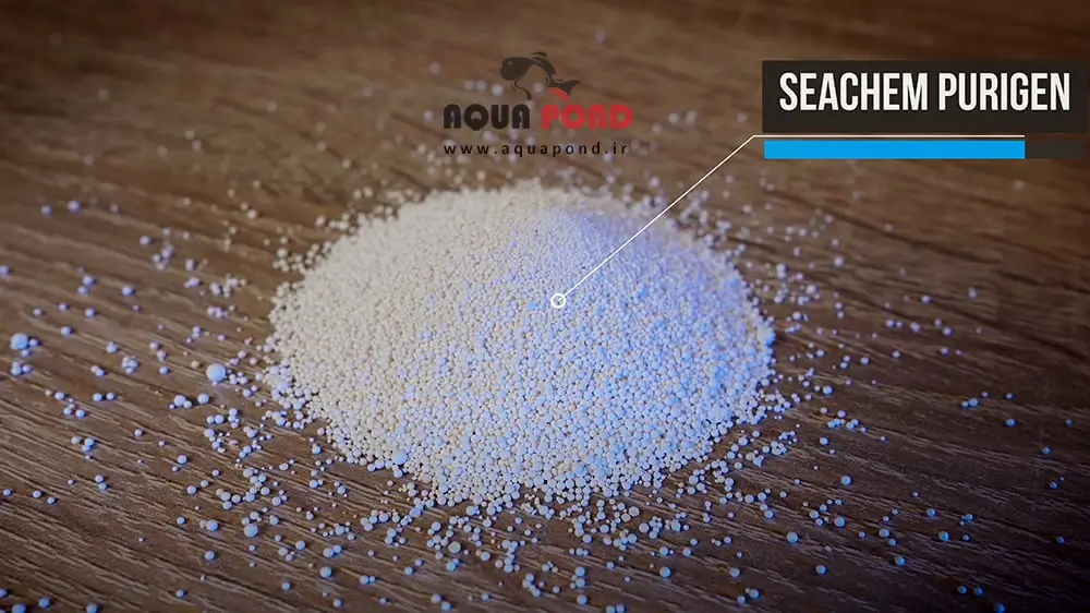 پیوریژن سیچم