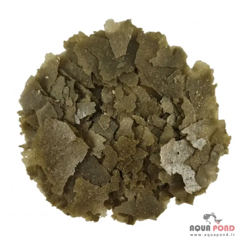 غذای پولکی فلورا