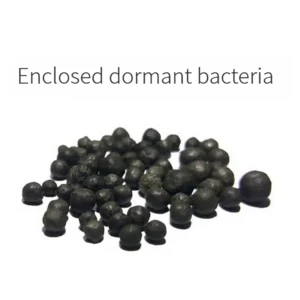 باکتری مدیا نئو همراه با توپ های باکتری جهت تسریع در طی شدن سیکل باکتریایی