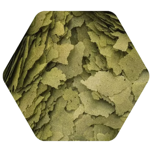 پولکی 3 جلبک تروپیکال|غذای 3 جلبک پولکی