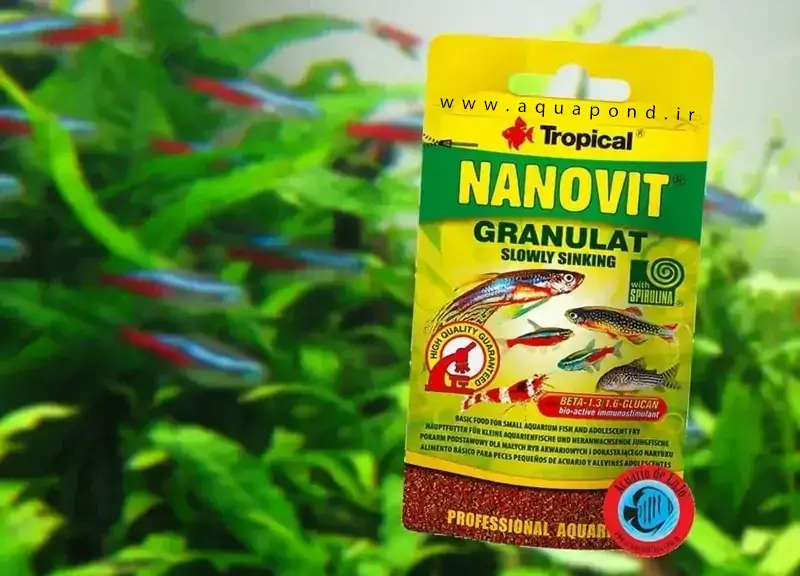 گرانول نانوویت تروپیکال غذای کامل برای ماهی کوچک گیاه خوار