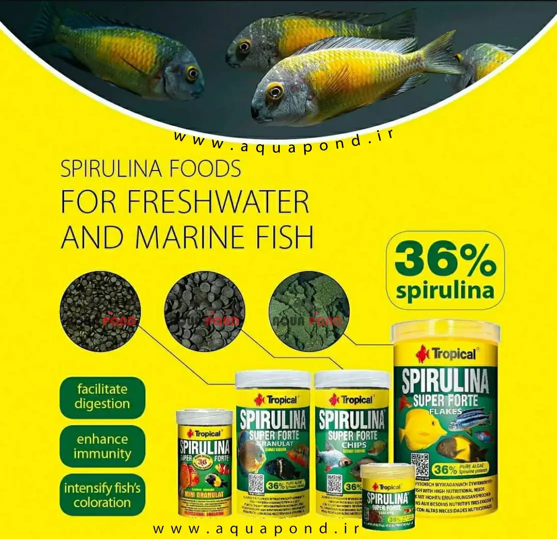قرص اسپیرولینا ۳۶% سوپر فورت تروپیکال غذای قرصی ماهی گیاه خوار و همه چیزخوار