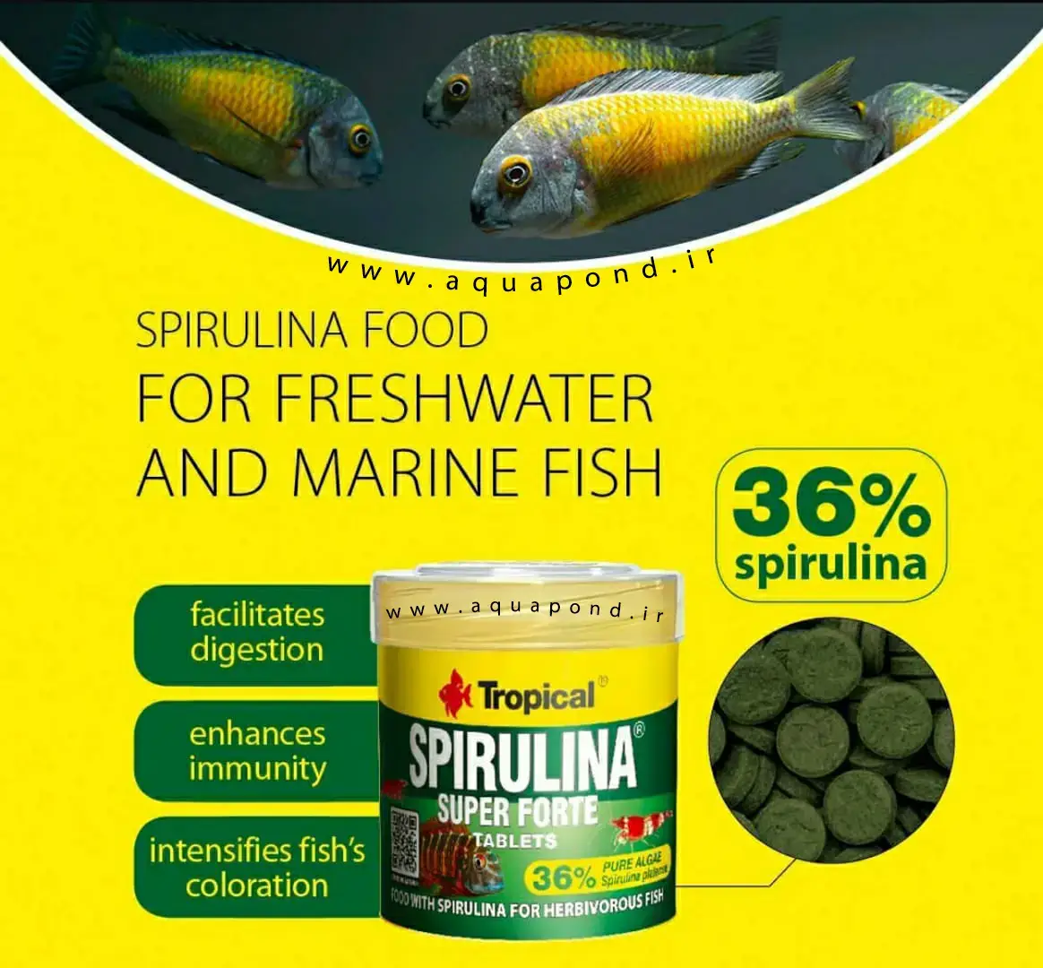 قرص اسپیرولینا ۳۶% سوپر فورت تروپیکال غذای قرصی ماهی گیاه خوار و همه چیزخوار