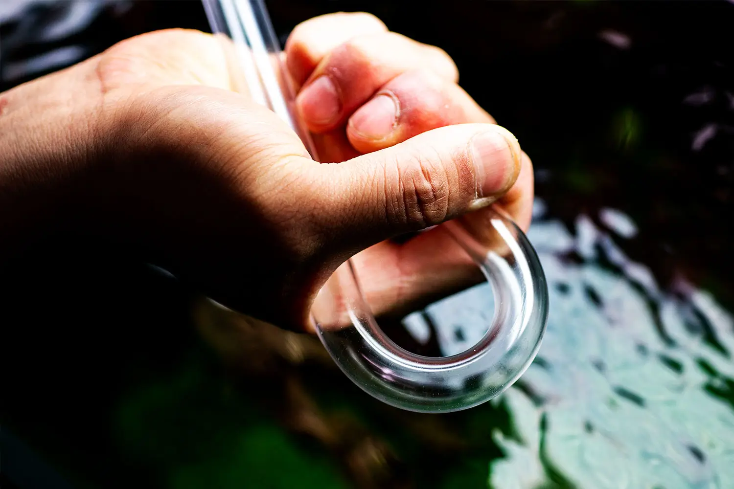 nf5 ورودی و خروجی شفاف