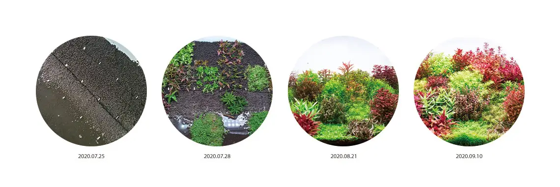 003 تاثیر سویل نرمال نئو