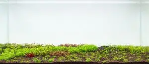 02a-2-300x130 قبل و بعد استفاده ازسویل نرمال نئو 2