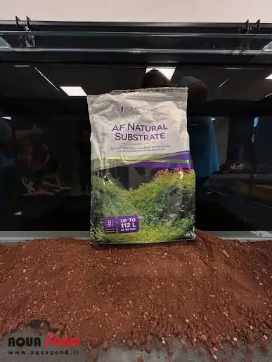 زیر بستر آکوافارست
