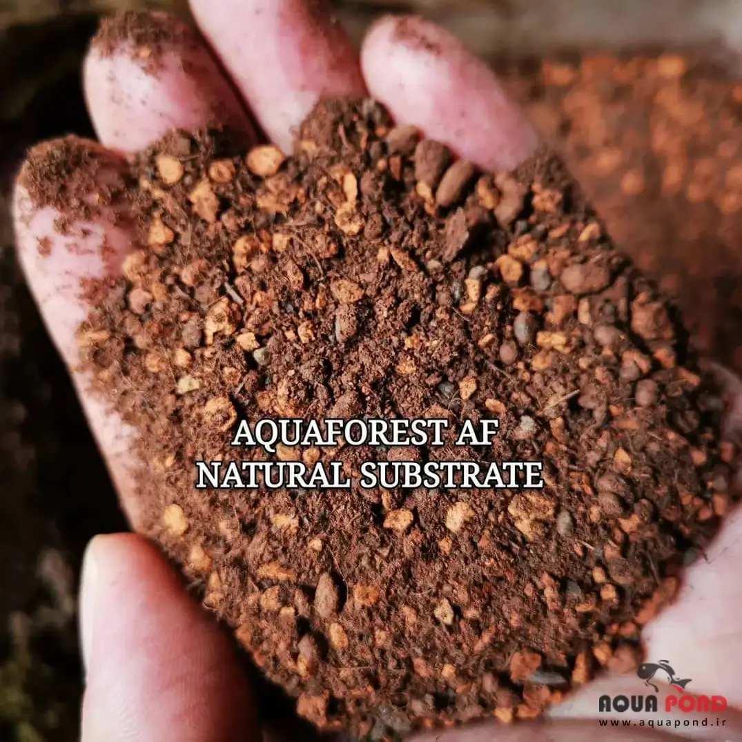 خاک زیر بستر سابستریت آکوافارست