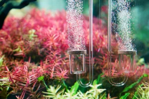 آکواریو نئو دفیوزر co2 اورجینال نرمال در آکواریوم 3