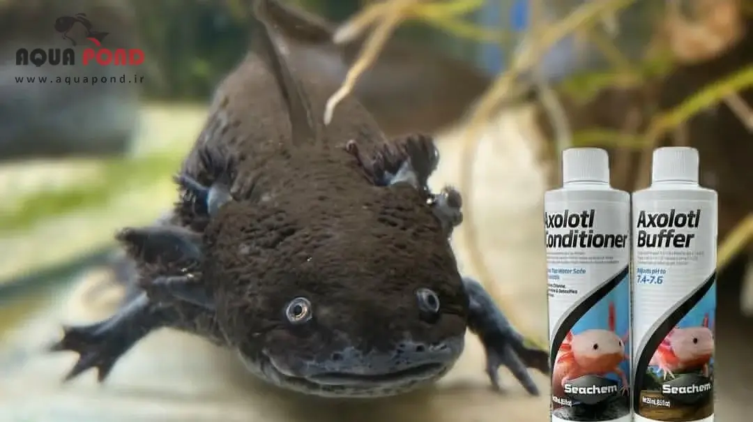 اکسولوتل کاندیشنر سیچم مکمل آب