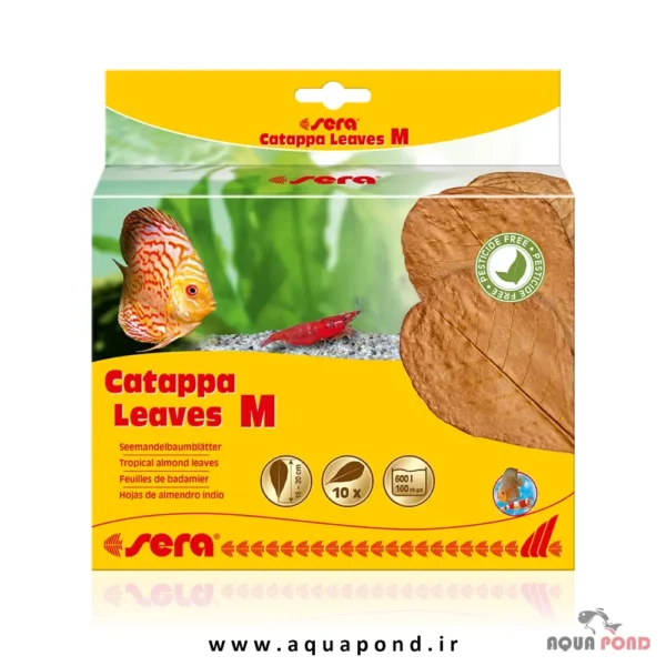 Sera catappa leaves M-18cm