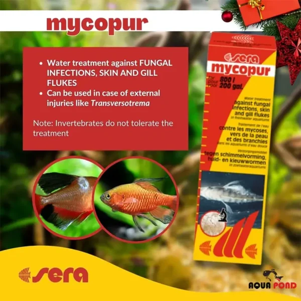 مایکاپور سرا داروی ضد قارچی