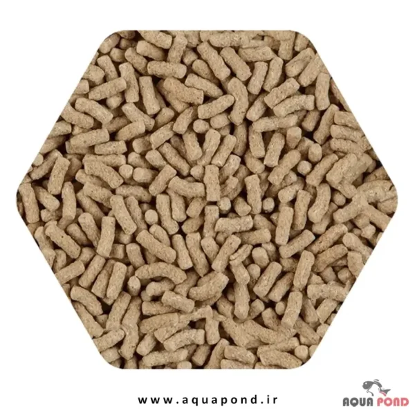 پوند استیک سرا غذای گلدفیش و کوی