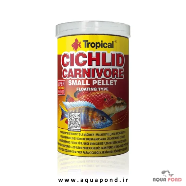 TROPICAL Cichlid Carnivore