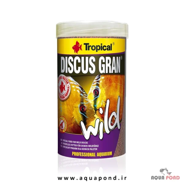 Tropical discus gran wild