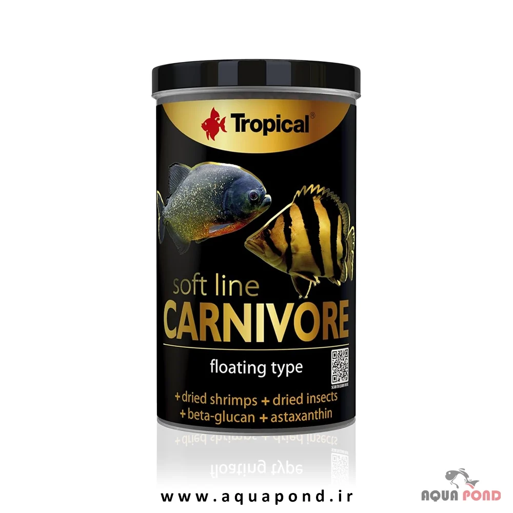 Tropical soft line carnivore Tropical soft line carnivore