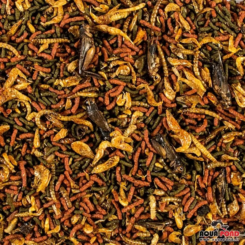 Tropical Soft Line Carnivore