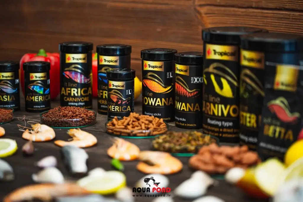 سافت لاین تروپیکال