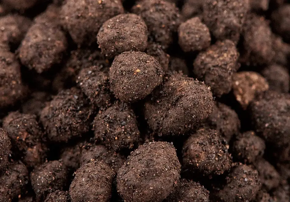 aquario-neo-plant-soil-30645748564168_943x660 نئو پلنت سویل نرمال